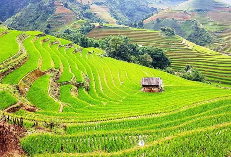 Dàn ý phân tích 8 câu đầu bài Việt Bắc của Tố Hữu