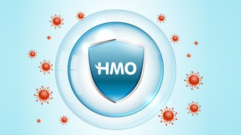 Vai trò và chức năng của HMO đối với sức khỏe trẻ em