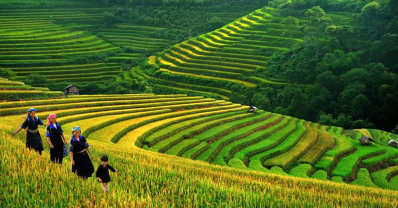 Vẻ đẹp thiên nhiên trong bài thơ Việt Bắc gắn liền với hình ảnh con người