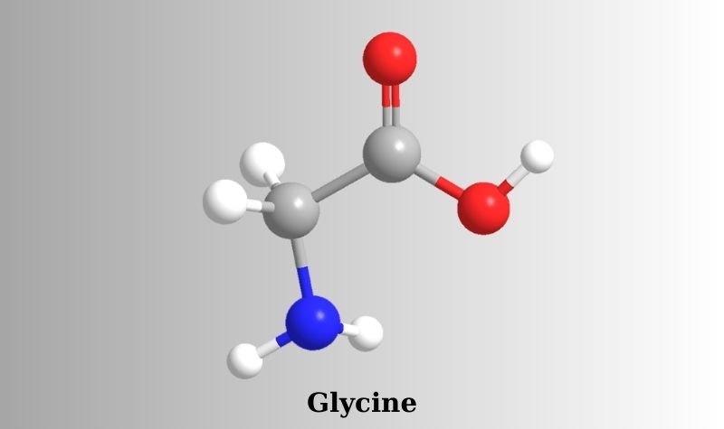 Glycine
