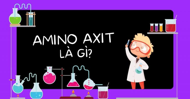 Amino axit là gì? Tổng hợp từ A đến Z kiến thức về Amino axit