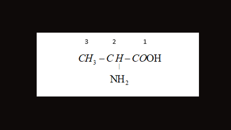 Axit 2-aminopropanoic