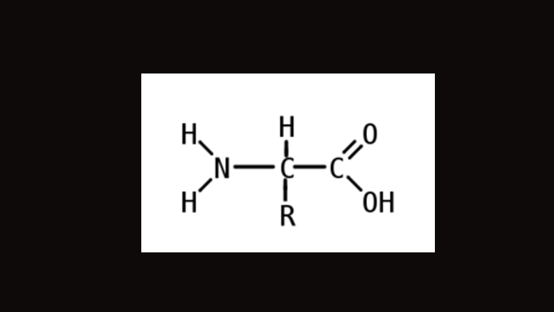 Cấu trúc của Alpha amino axit