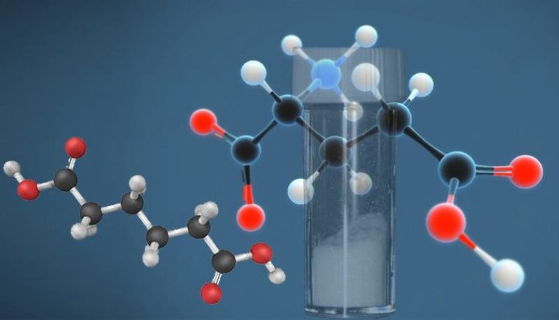 Khái niệm axit glutamic là gì?