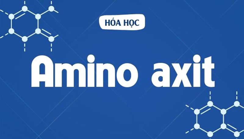 Định nghĩa Axit aminopropionic là gì?
