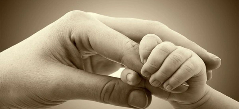 Suy nghĩ về tình mẫu tử trong cuộc sống