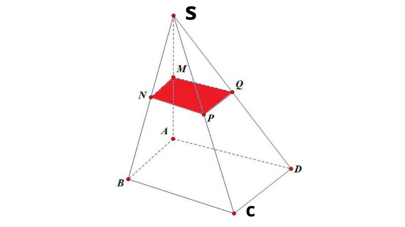 Thiết diện là gì?