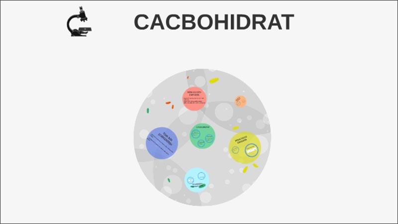 Tìm hiểu về Cacbohidrat