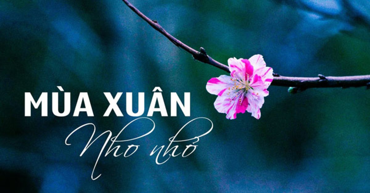 cảm nhận bài mùa xuân nho nhỏ