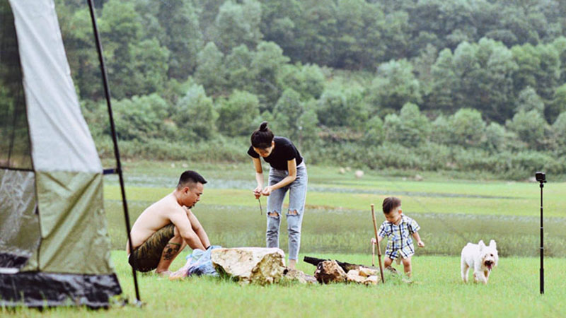 Cân nhắc khi đem thú cưng đi theo