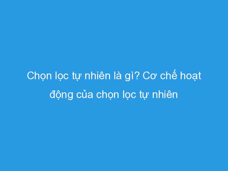 Cơ chế hoạt động của chọn lọc tự nhiên