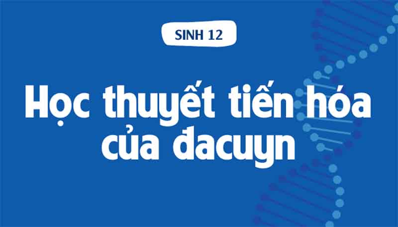 Những hình thức của chọn lọc tự nhiên