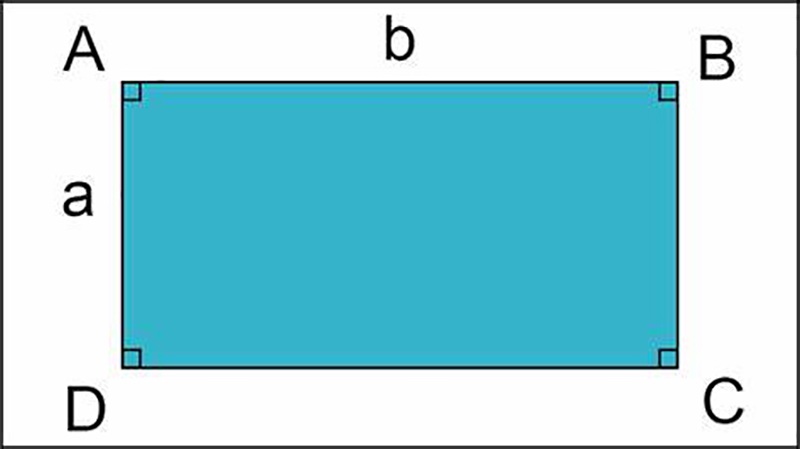 Chu vi và cách tính chu vi hình chữ nhật