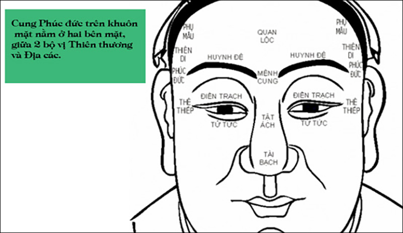 Cung Phúc Đức trên khuôn mặt