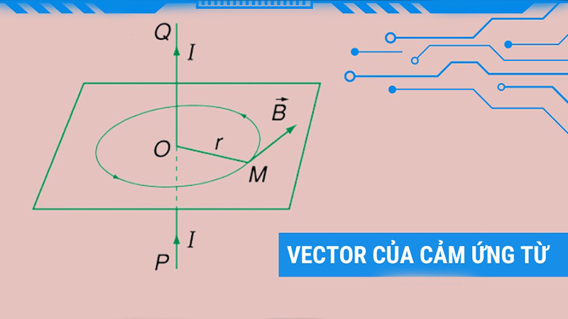Vectơ cảm ứng từ