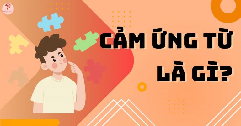 Cảm ứng từ là gì? Đơn vị Tesla là gì? Công thức tính cảm ứng từ