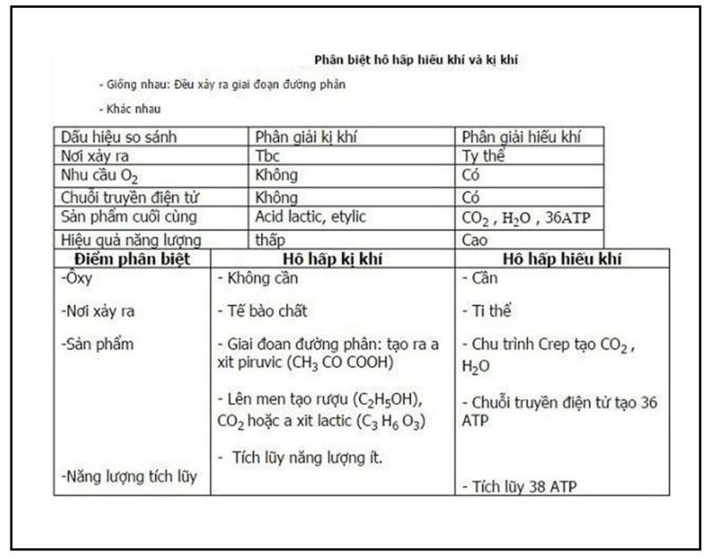 So sánh hô hấp hiếu khí và hô hấp kị khí