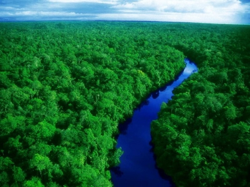 Sự phân hoá của môi trường đới ôn hoà