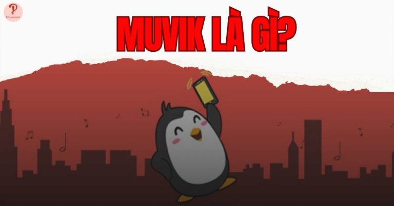 Muvik là gì?