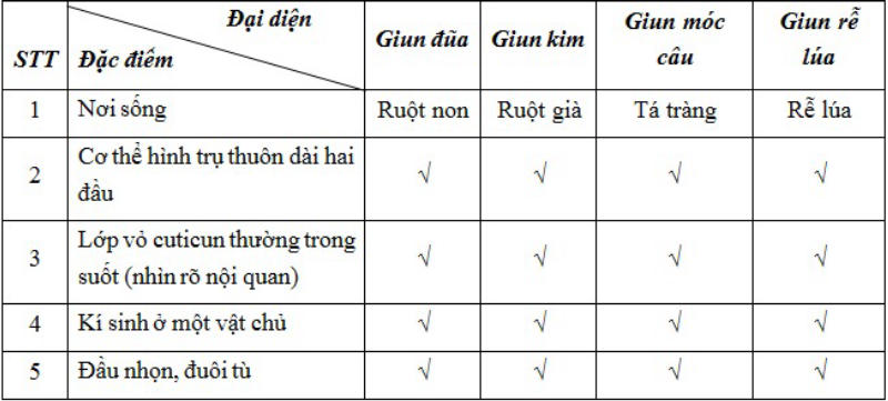 Đặc điểm của ngành giun tròn