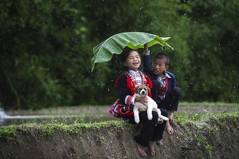 Gợi ý mở đề nghị luận xã hội về đức tính giản dị