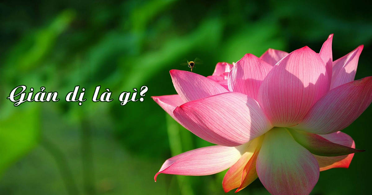 nghị luận về đức tính giản dị