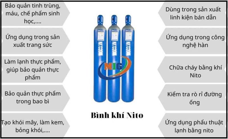 Vai trò của nitơ đối với sự sống