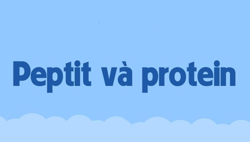 Tìm hiểu Peptit là gì?