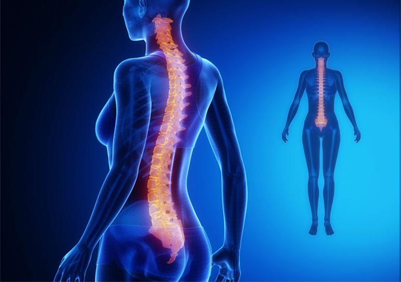 Tủy sống là gì?