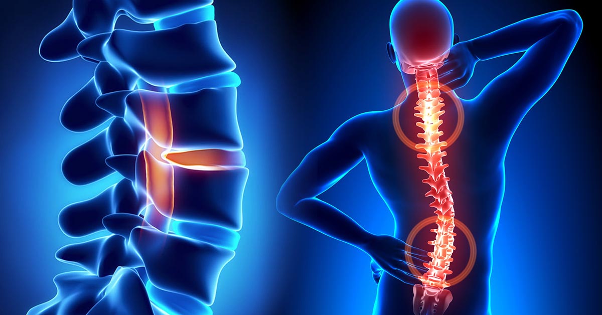 chức năng của tủy sống