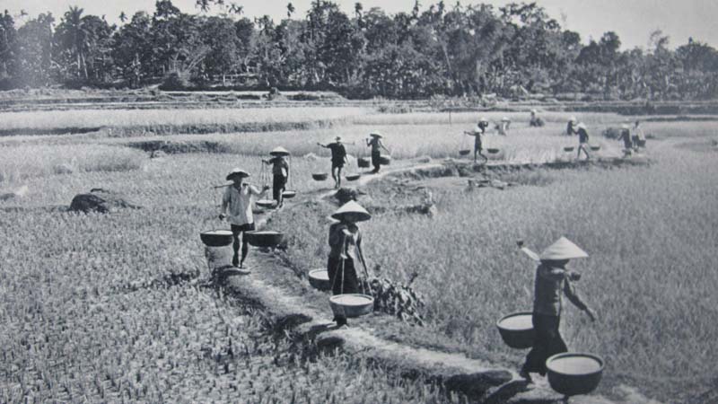Hạt gạo làng ta trong những năm tháng chiến tranh