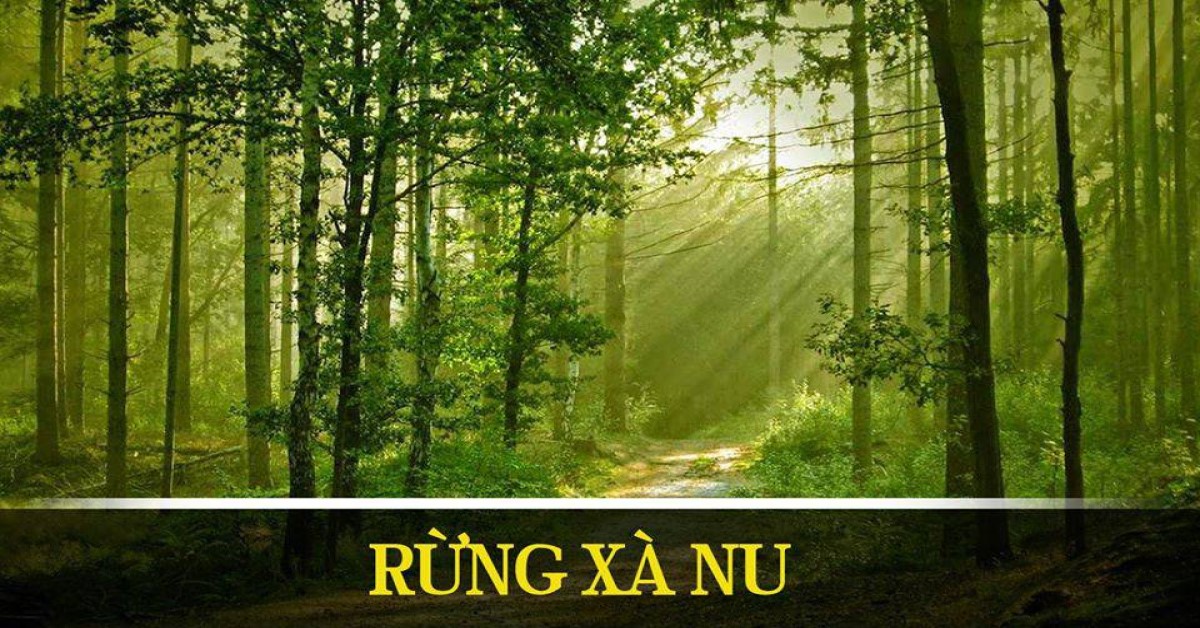 hình tượng cây xà nu trong tác phẩm rừng xà nu