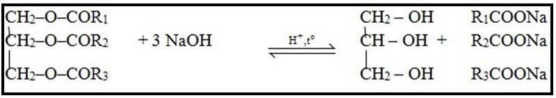 Phản ứng xà phòng hóa là gì?