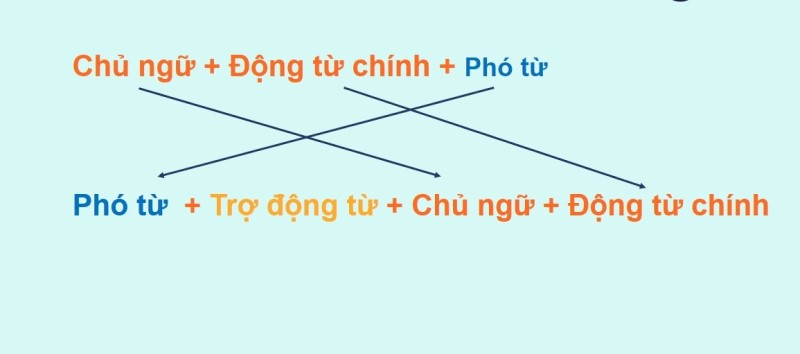 Vị trí của trạng từ phó từ