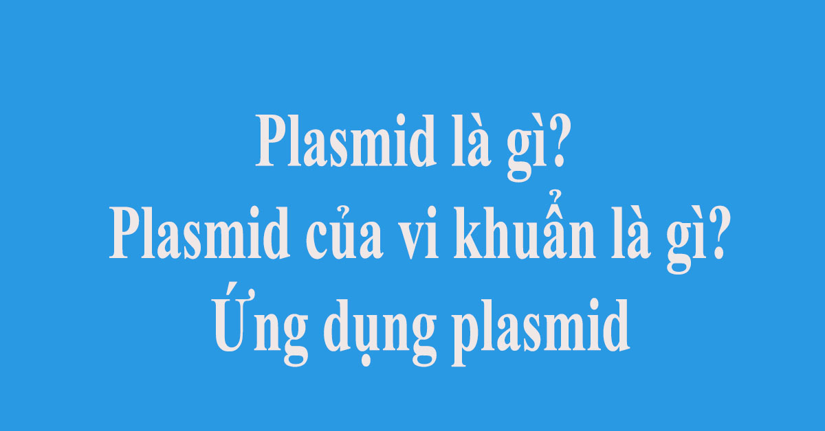 Plasmid là gì? Plasmid của vi khuẩn là gì? Ứng dụng plasmid