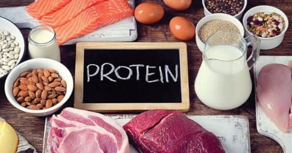 chức năng của protein