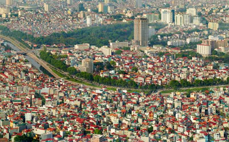 Đặc điểm của quần cư là gì?