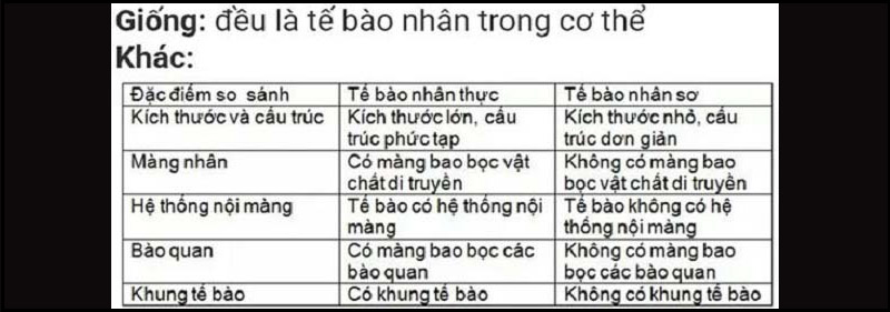 So sánh tế bào nhân sơ và nhân thực