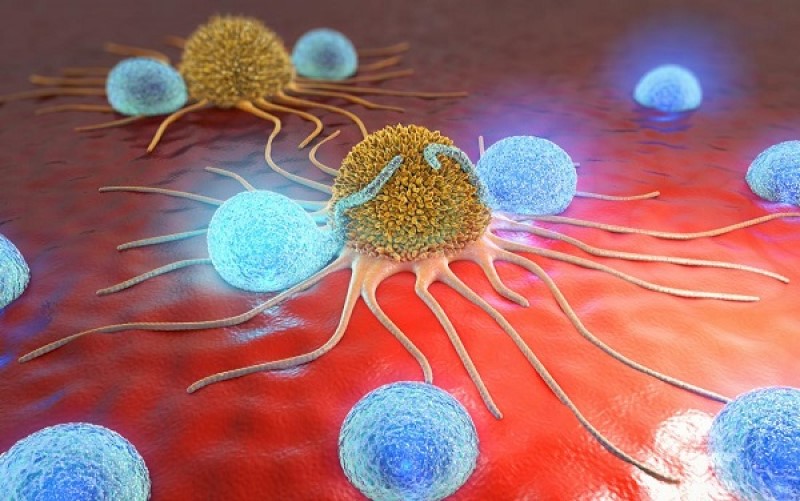 Tế bào Hela (hela cell) là một loại tế bào thuộc dòng tế bào bất tử