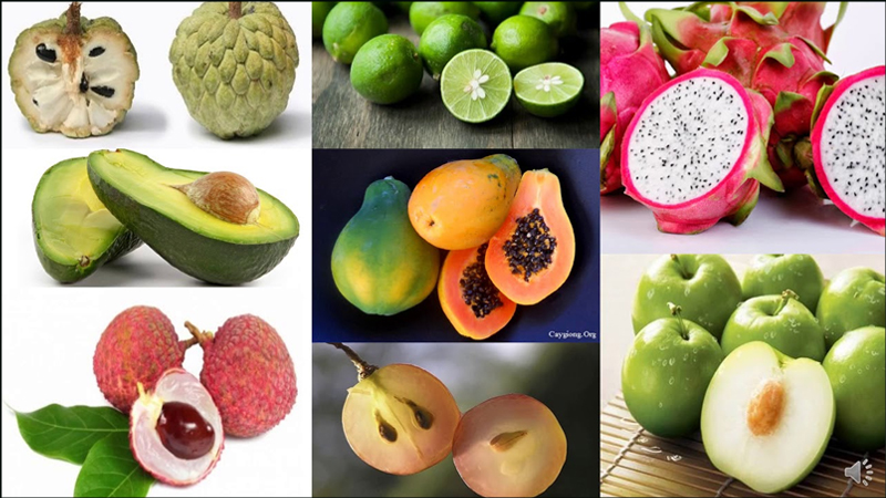 Thụ tinh kép chỉ diễn ra ở thực vật hạt kín