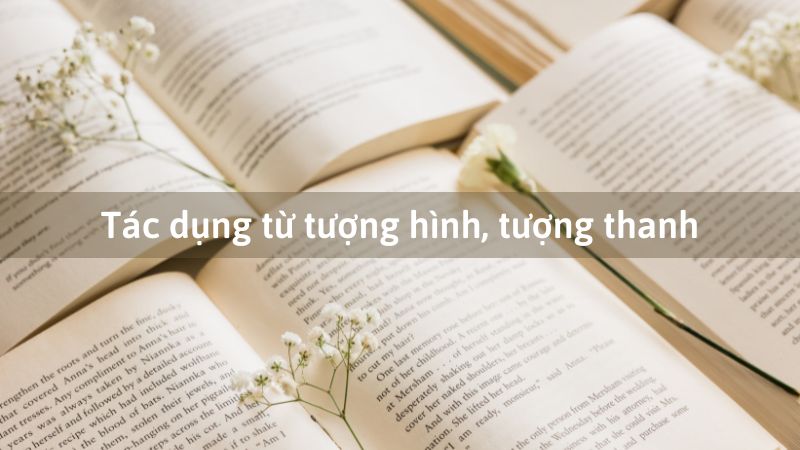 Tác dụng của từ tượng hình tượng thanh