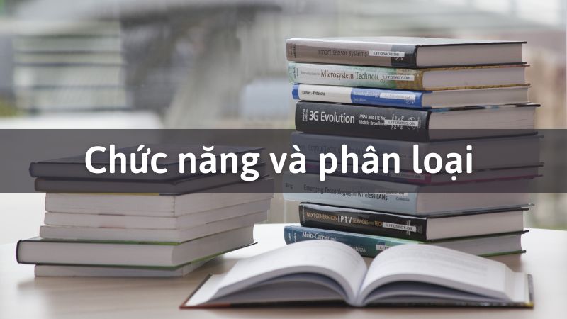 Chức năng và phân loại của tình thái từ như thế nào?
