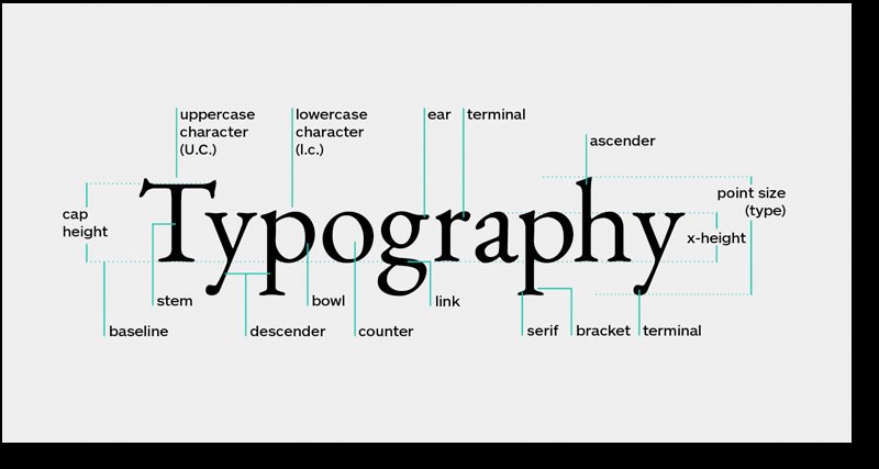 Typography là gì?