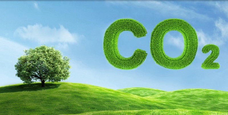 Vai trò của cây xanh đối với con người thông qua việc bảo vệ nguồn tài nguyên đất và nước