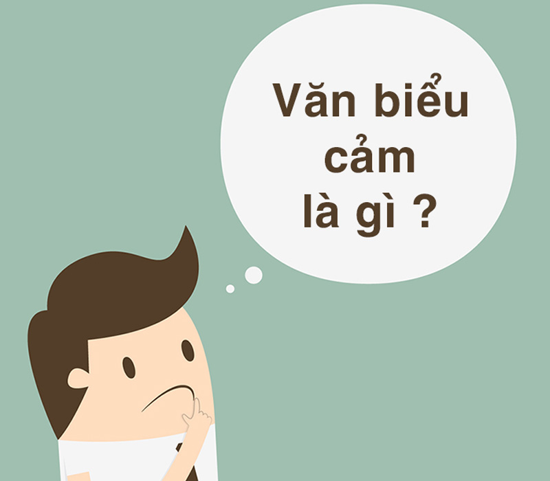 Văn biểu cảm là gì