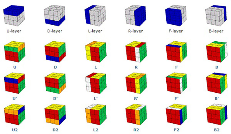 Y là gì trong Rubik?