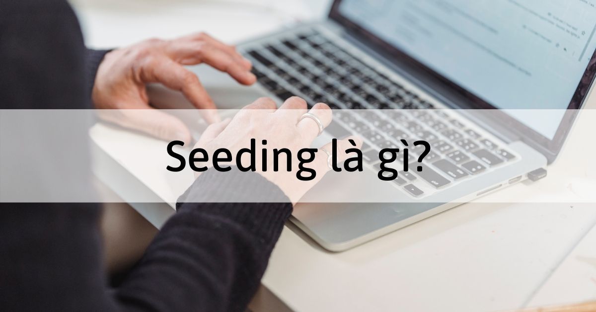 Ý nghĩa của seeding, lợi ích và sự cần thiết của hoạt động seeding