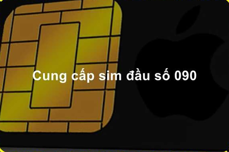 090 là mạng gì?