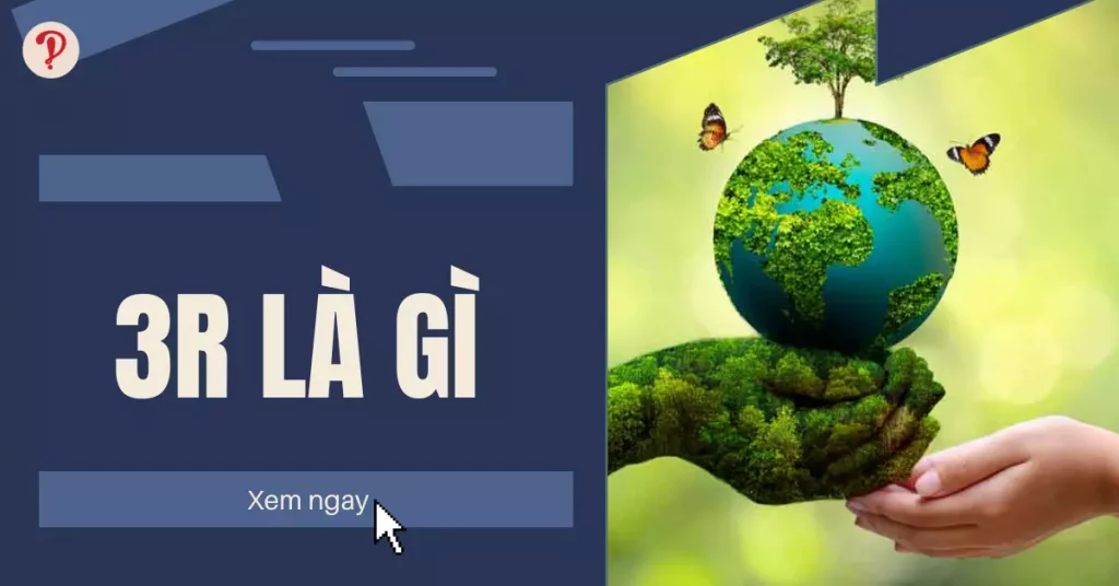 3r là gì