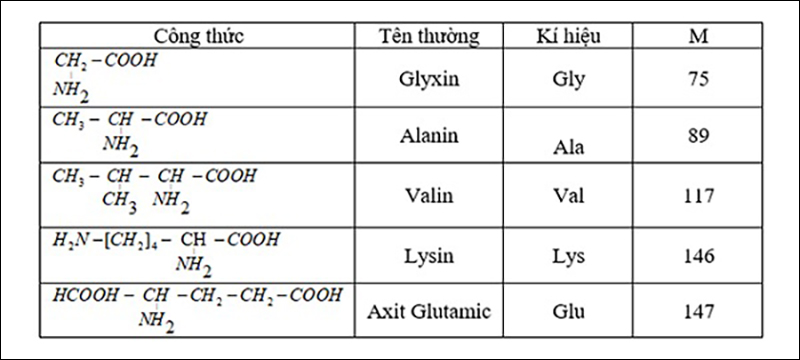 Một số alpha amino axit thường gặp